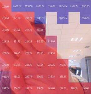 说明: An 8 x 8 grid with distance markers overlapped with a picture taken by a camera